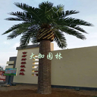 屋外の装飾のためのカスタマイズされた大きい8mの高さの人工的なカナリア色の藻のココヤシの木の木