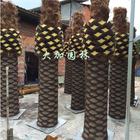 大きい屋外の装飾的なヤシの木 カナダ/プラスチック ナツメヤシ/人工的なヤシの木