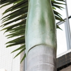 OEMの人工的なココヤシの木の木、7mの保護される屋外の人工的なヤシの木の紫外線