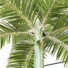 OEMの人工的なココヤシの木の木、7mの保護される屋外の人工的なヤシの木の紫外線