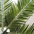 OEM 6mの擬似ヤシの木の植物の紫外線保護炎-抑制材料