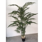 Dypsislutescensの人工的な盆栽の植物、1mののどのArecaのヤシの木
