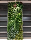 人工的な緑の壁の背景幕10年の、100*100cmののどのBoxwoodのパネル